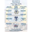 Debrecen_TSZVI_T_201904_VSZ_VDSZSZ_MOSZ_page-0001.jpg