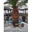 20170724_205101.jpg