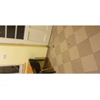 20210619_213033.jpg