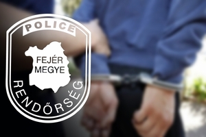 Bántalmazott egy jegyvizsgálót, már rendőrkézen van